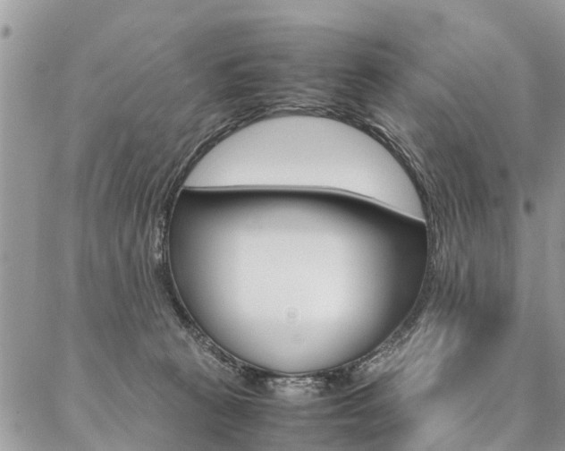 X0000087390273200704200935