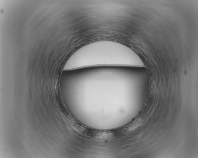 X0000087390274200704200935