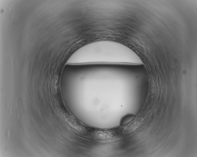 X0000087390275200704200935