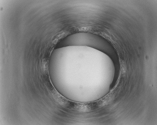 X0000087390276200704200935