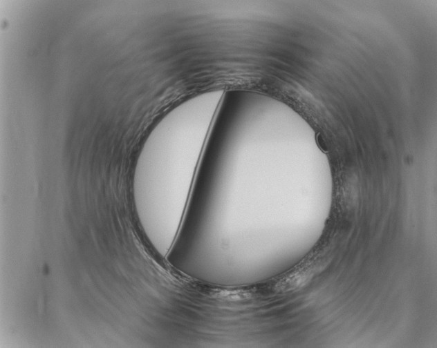 X0000087390277200704200935