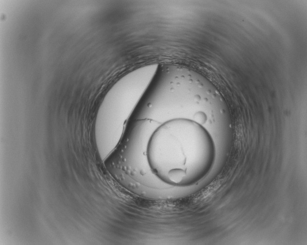 X0000087390278200704200935