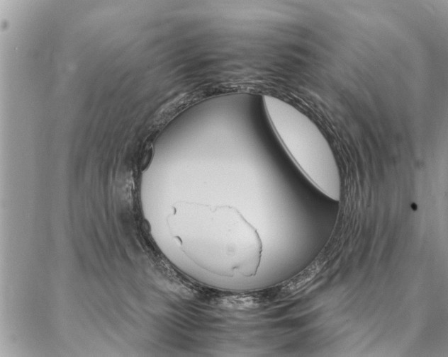 X0000087390279200704200935