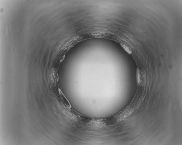 X0000087390280200704200935