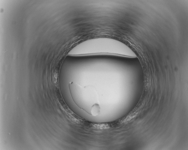 X0000087390281200704200935