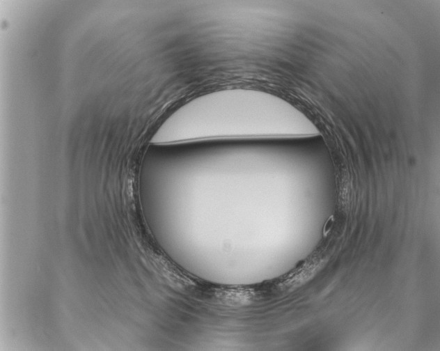 X0000087390282200704200935