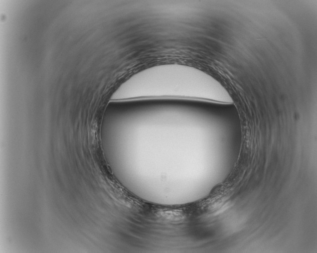 X0000087390283200704200935