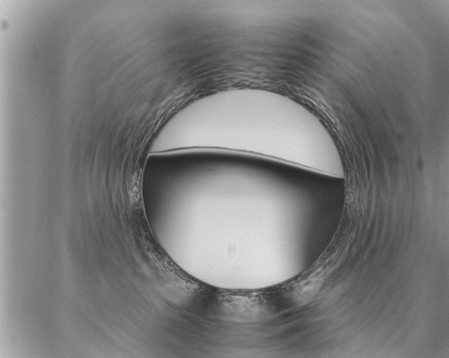 X0000087390285200704200935