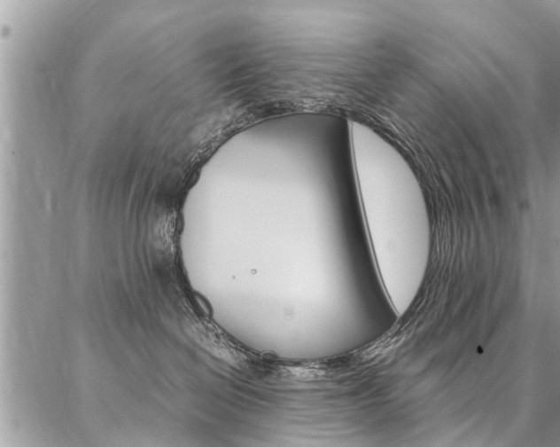 X0000087390286200704200935