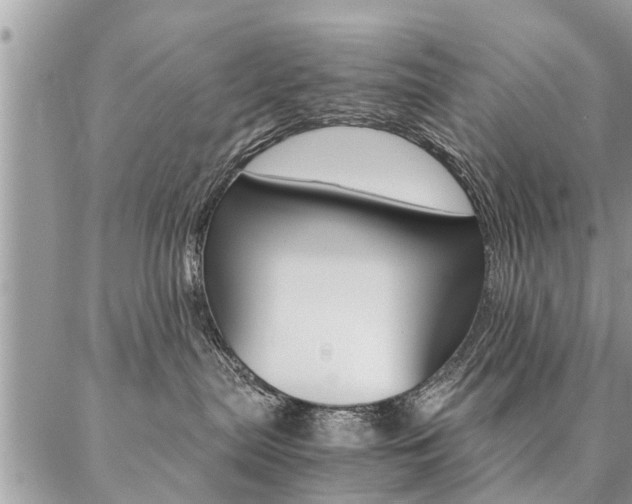 X0000087390287200704200935