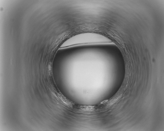 X0000087390288200704200935