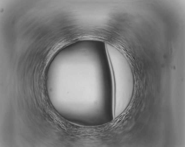 X0000087390289200704200935