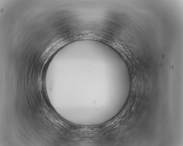 X0000087390290200704200935