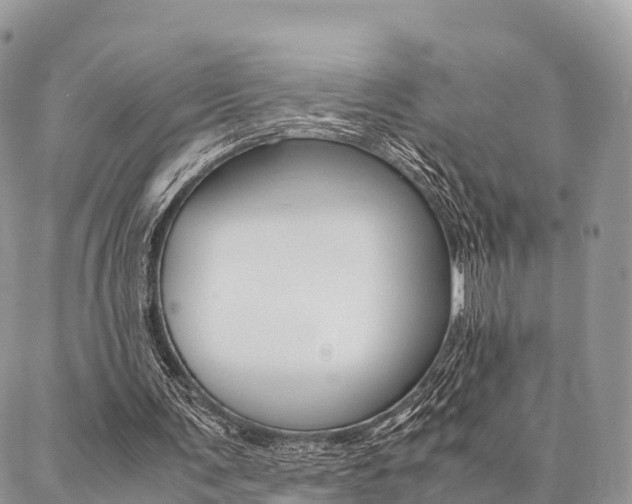 X0000087390291200704200935