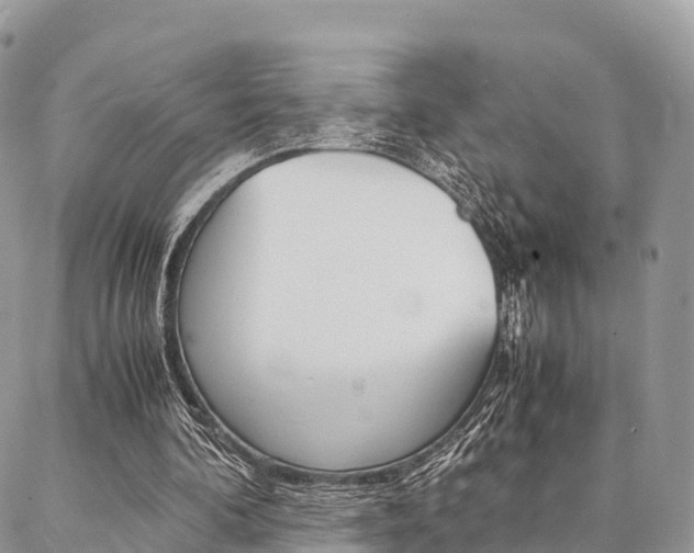 X0000087390292200704200935