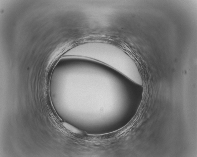 X0000087390293200704200935