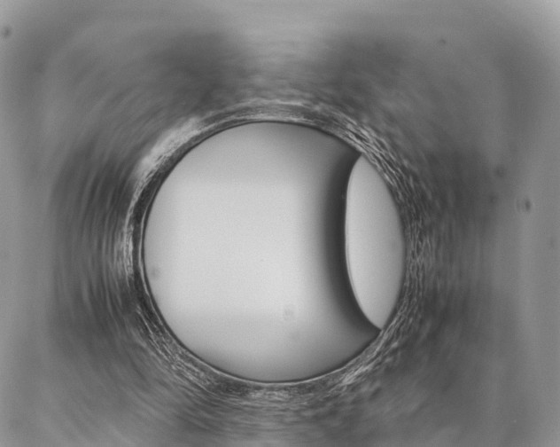 X0000087390294200704200935