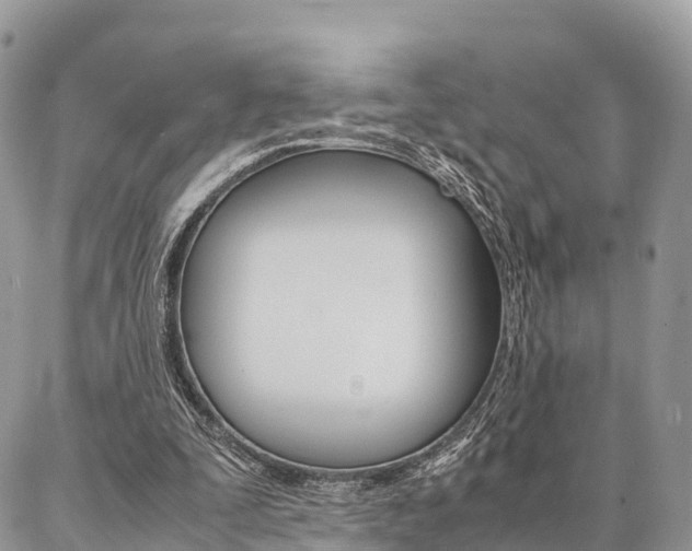 X0000087390295200704200935