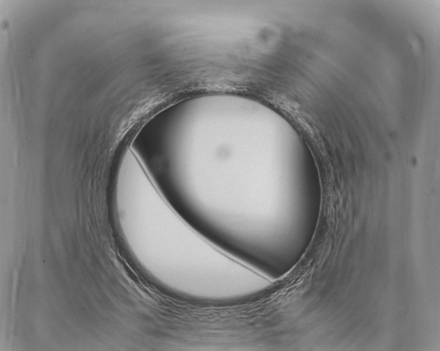 X0000087390299200704200934