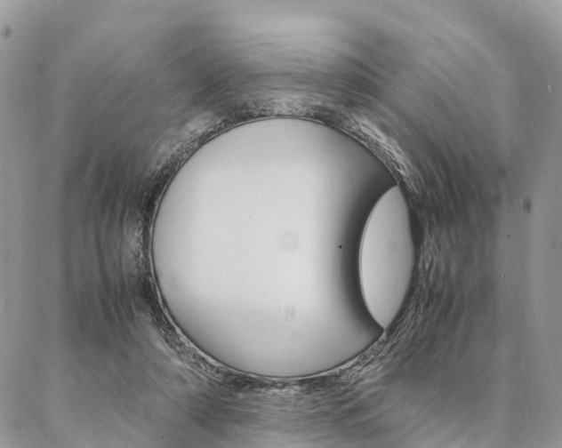 X0000087390306200704200934