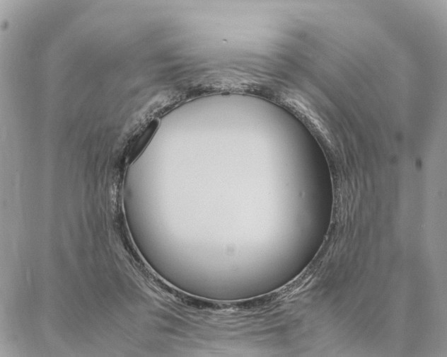 X0000087390309200704200934