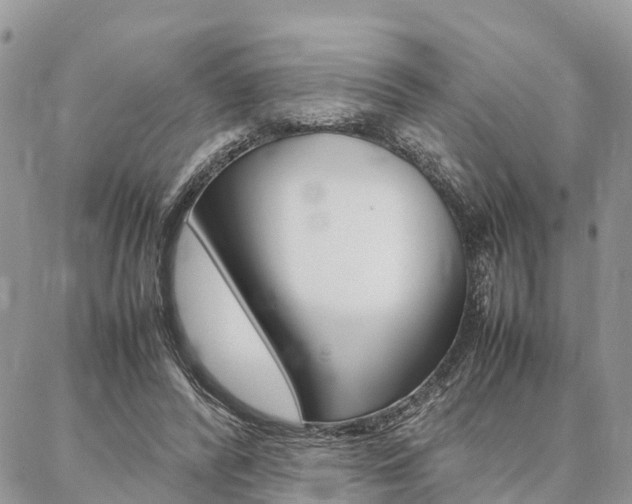 X0000087390400200704200933