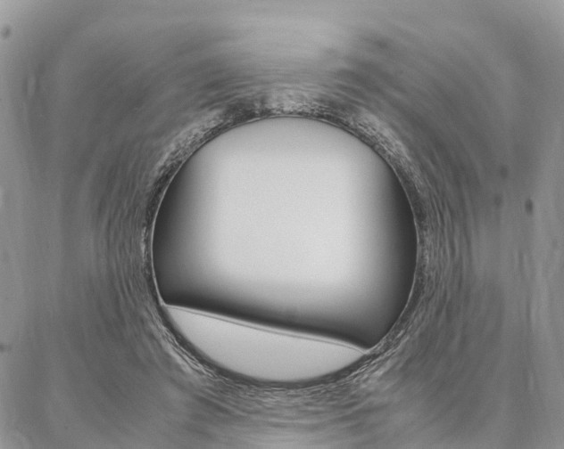 X0000087390401200704200933