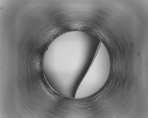 X0000087390408200704200933
