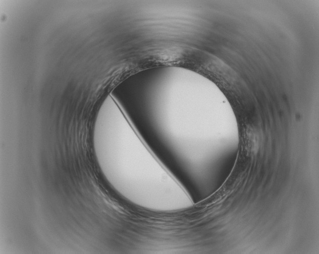 X0000087390412200704200933