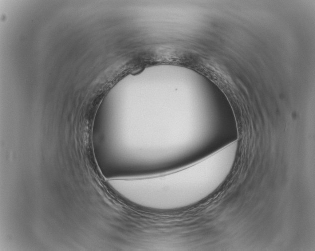 X0000087390413200704200933