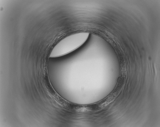 X0000087390460200704200932