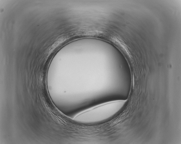 X0000087390483200704200931