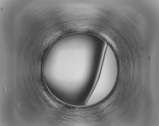 X0000087390493200704200931