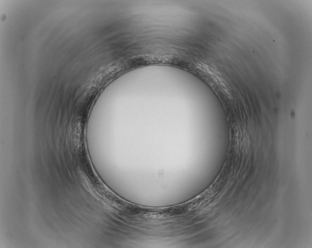 X0000087390498200704200931