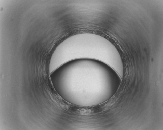 X0000087390512200704200931