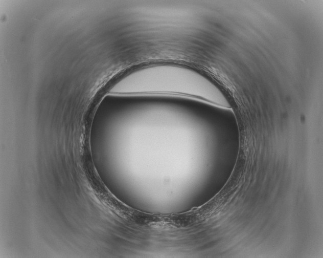 X0000087390544200704200930
