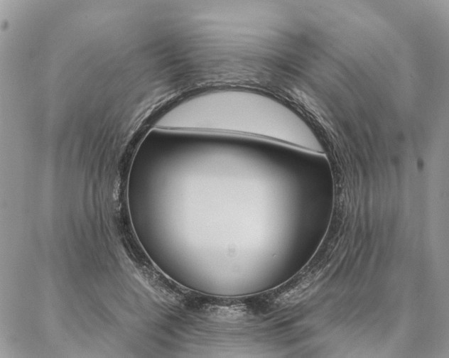 X0000087390548200704200930