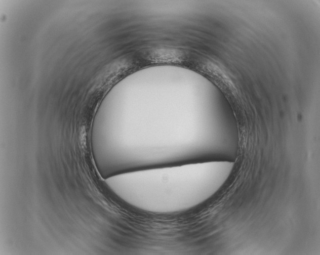 X0000087390549200704200930
