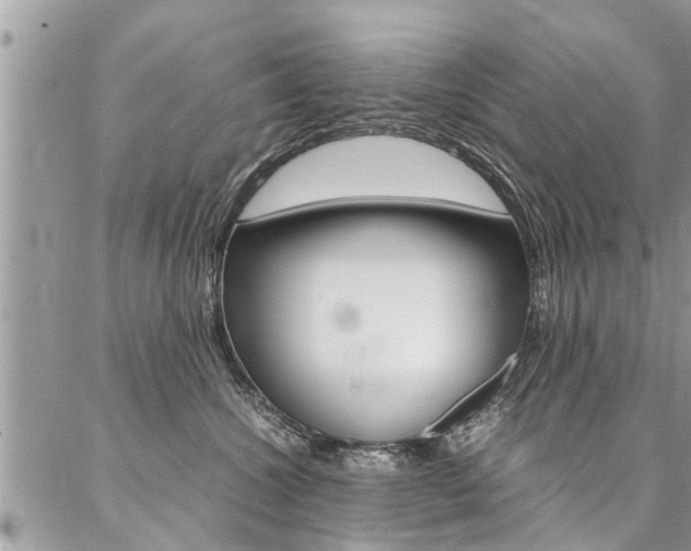 X0000087390572200704200931