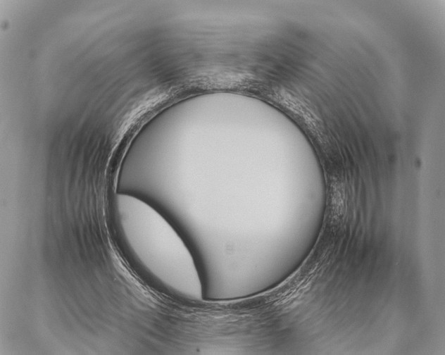 X0000087390582200704200930