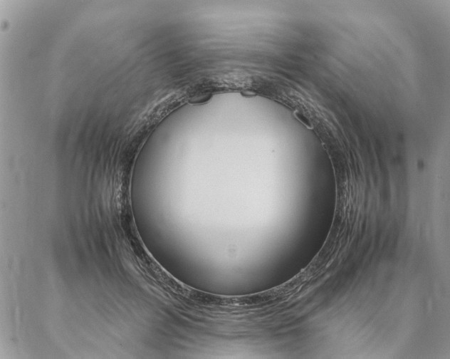 X0000087390600200704200930