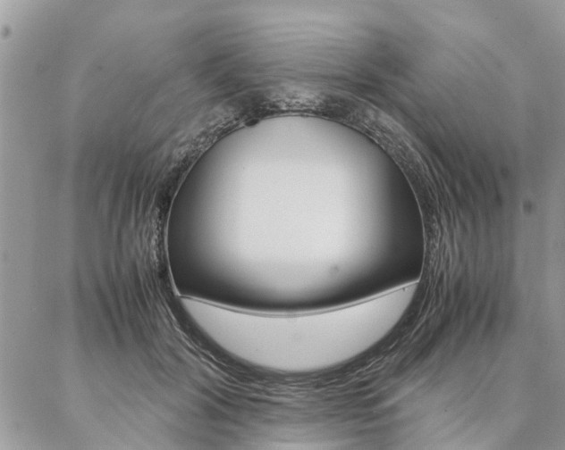 X0000087390604200704200929