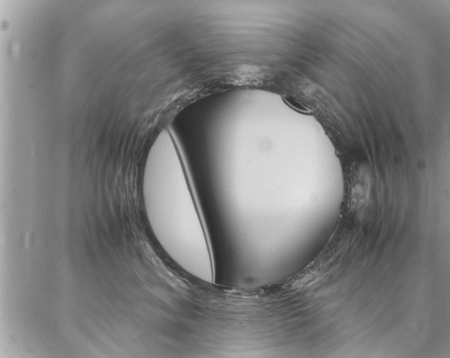 X0000087390620200704200929