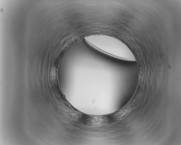 X0000087390623200704200929