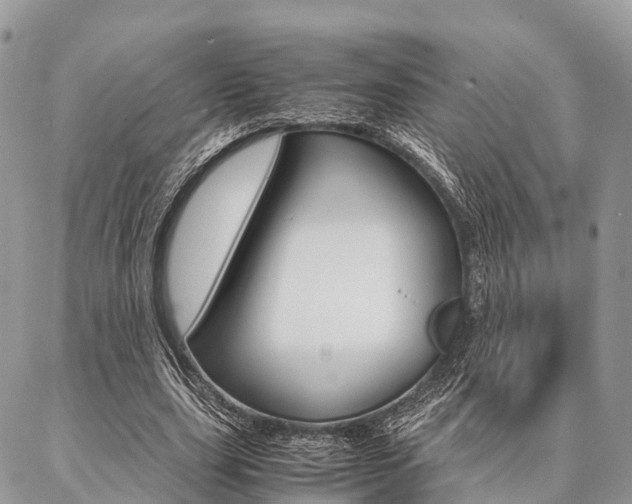X0000087390631200704200928