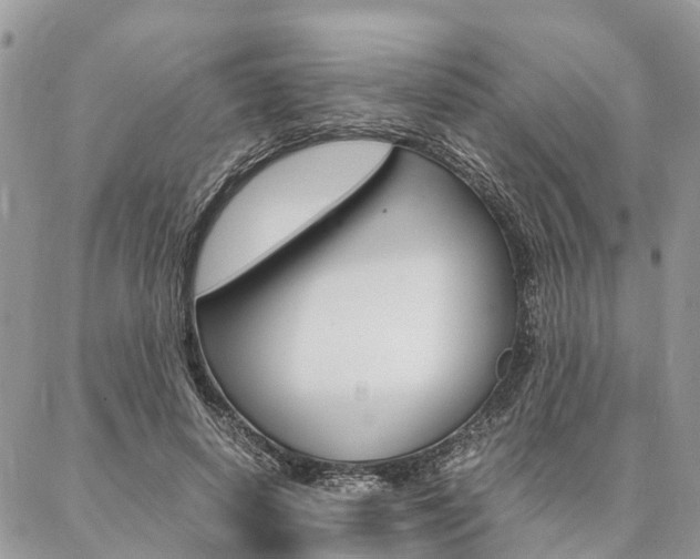 X0000087390642200704200929