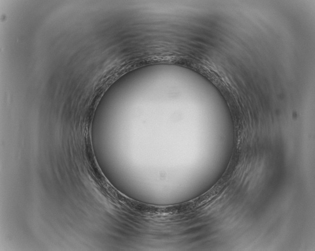 X0000087390647200704200929