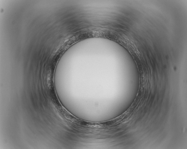 X0000087390698200704200928