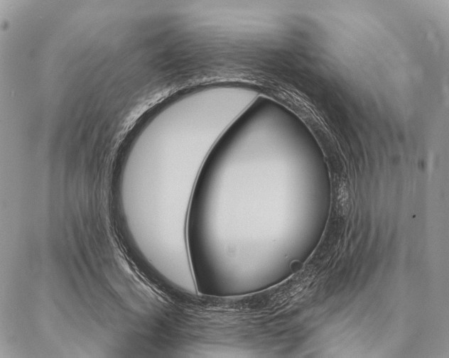 X0000087390732200704200927