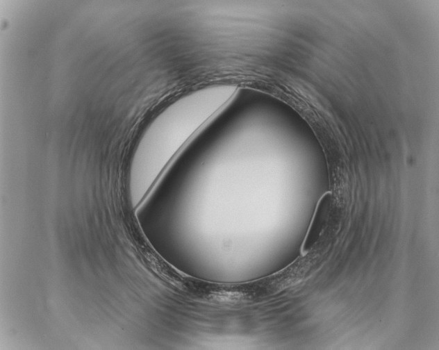 X0000087390748200704200927